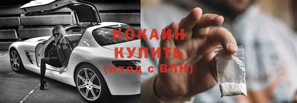 твердый Снежногорск