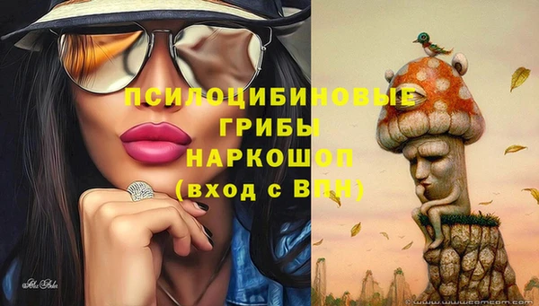 каннабис Верея