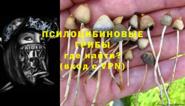 соль ск Верхний Тагил