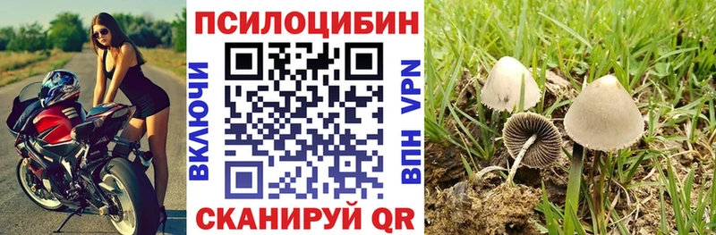 Галлюциногенные грибы Magic Shrooms  наркота  ОМГ ОМГ маркетплейс  Киржач 